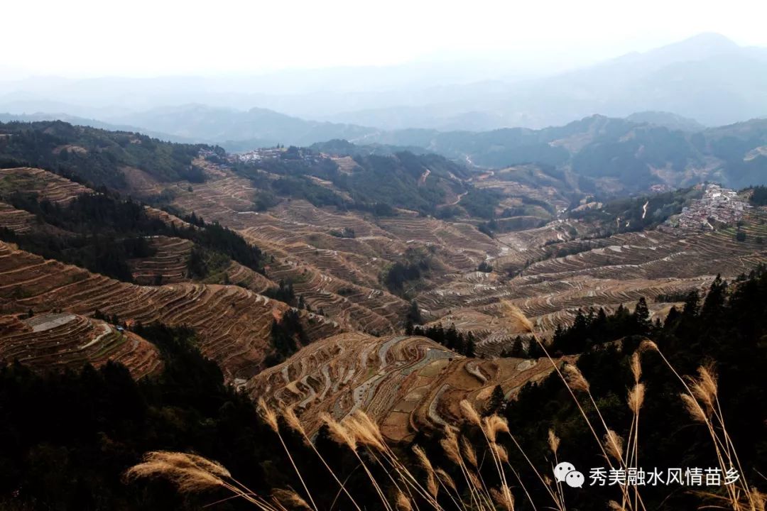 副市长张建国(左三,县委书记杨恩维(左二)等在拱洞乡龙培村调研2月4