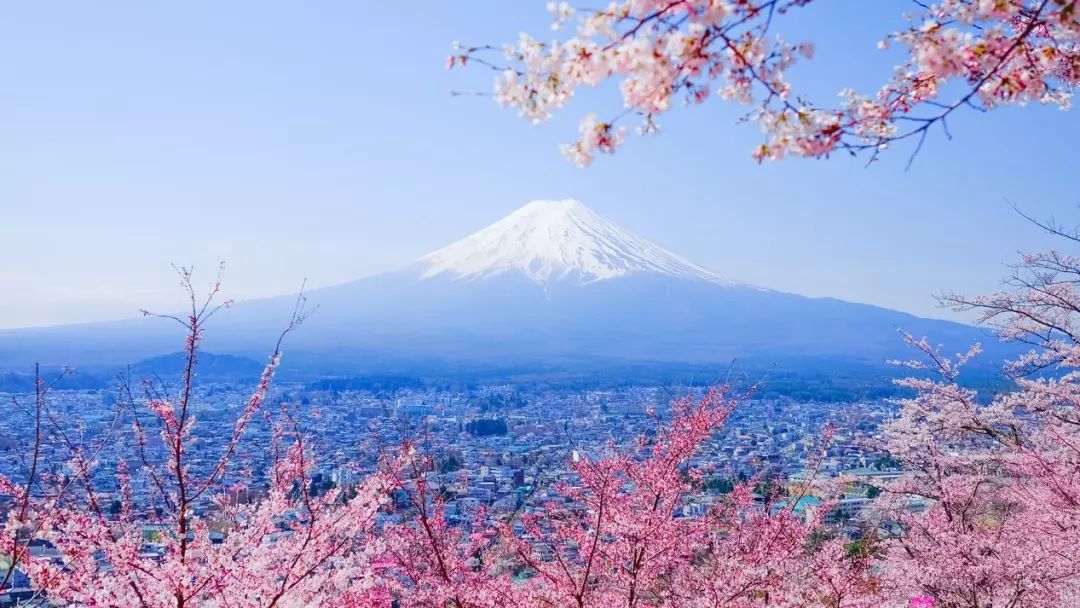 箱根温泉,富士山美景与樱花交相呼应,泡着温泉赏樱是与春天最美的邂逅