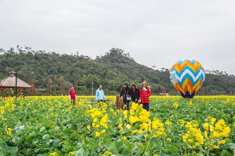 斗门乡村旅游年启动教你如何玩遍斗门