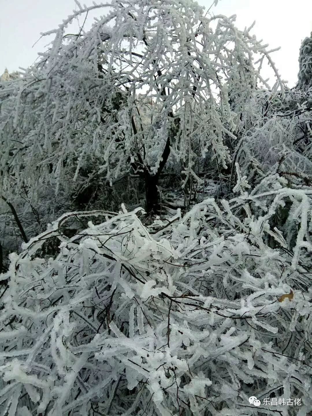 一组家乡庆云镇狮子山的雪景照片