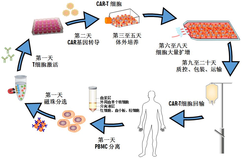 两项cart临床试验申请同时获得受理请看优卡迪优在何处