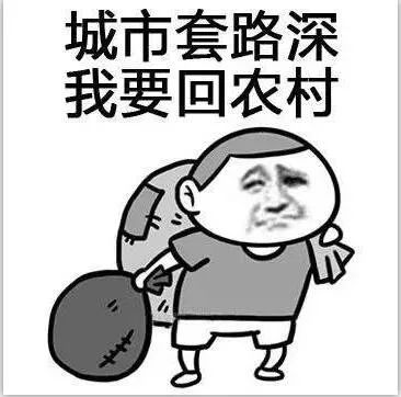 村里的小伙伴已经住进大别墅! 果真城市套路深,我要回农村!