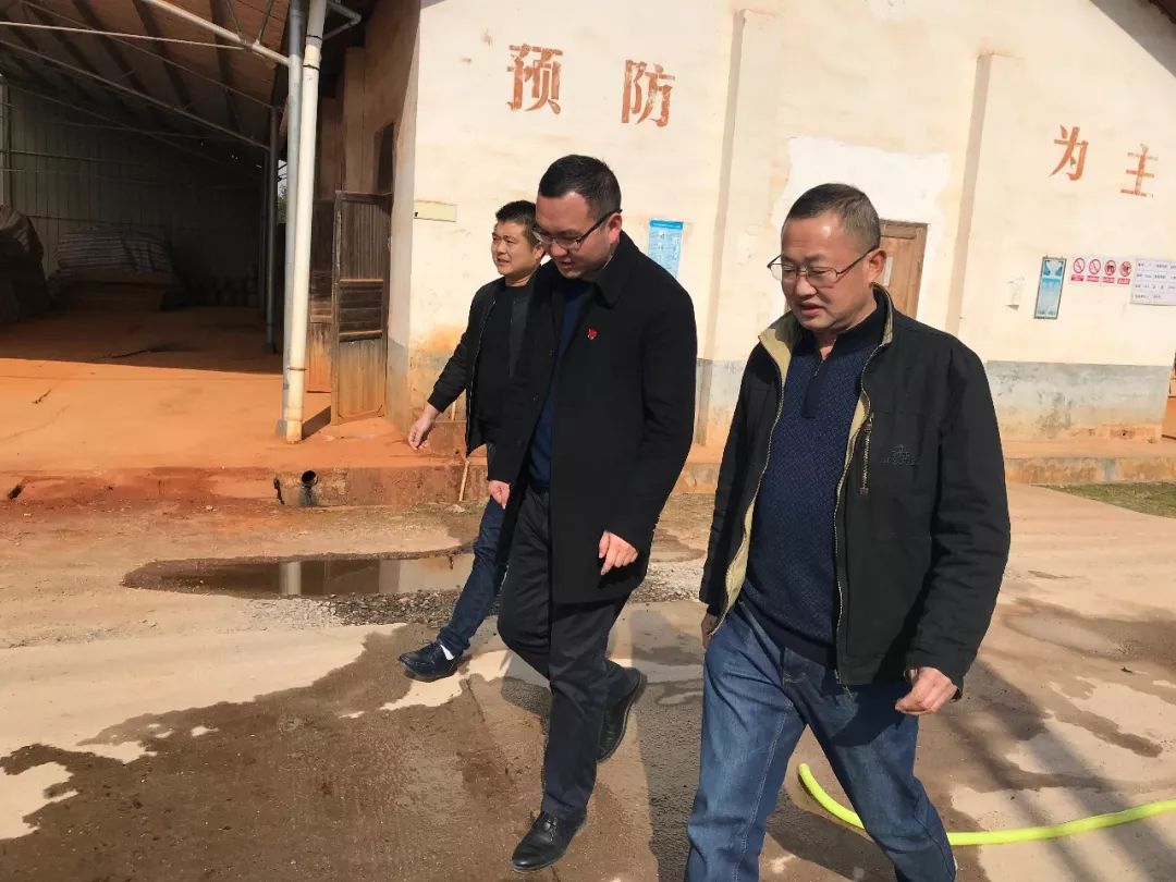 市政协副主席谢建国到蕉溪乡开展安全生产和生态环境大治理工作检查并