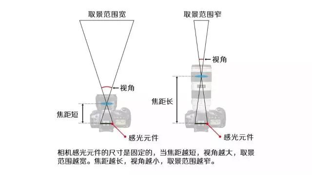 学习摄影初学摄影第四课带你认识不同的焦距