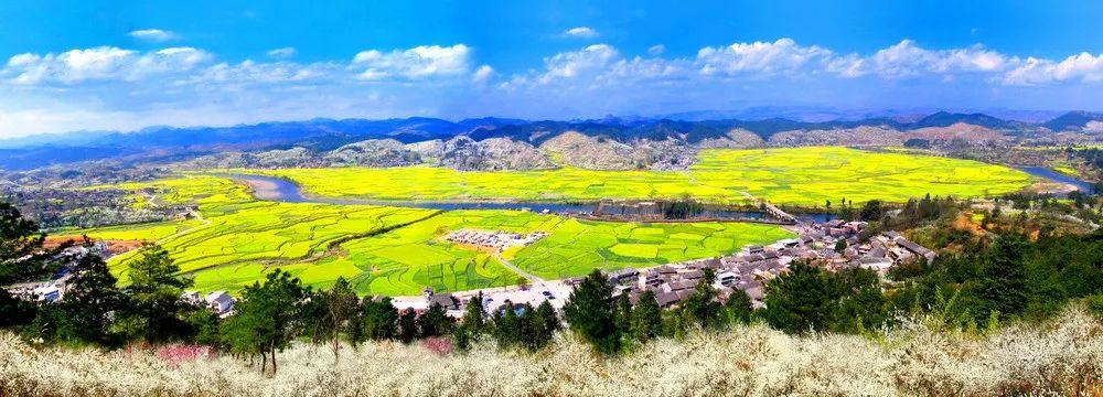 花开贵州3月710日贵州平坝樱花毕节织金洞金海雪山西江千户苗寨动车四