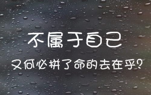 如果人生也能撤回,愿你我没有交集