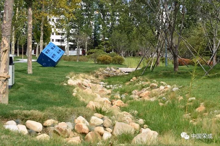 透水健身场地观海路,雨污分流樱花湖体育公园海绵工程建设是荣成市