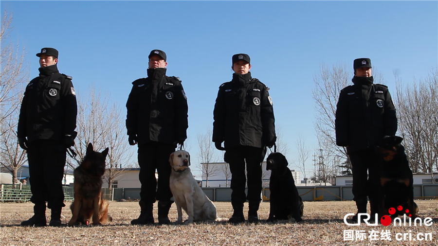 北京铁路公安处警犬工作队