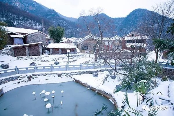 [风景 雪映庞家湾