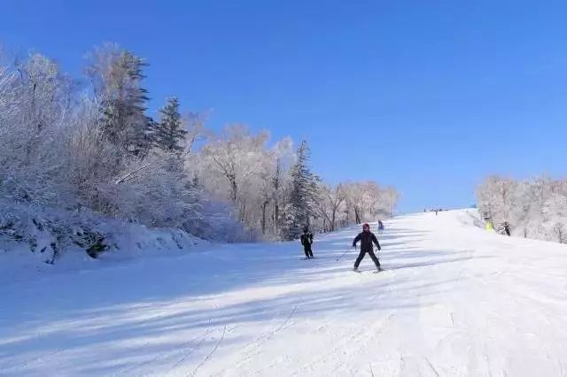 雷竞技RAYBET冬季滑雪好去处十大滑雪胜地安利你(图1)