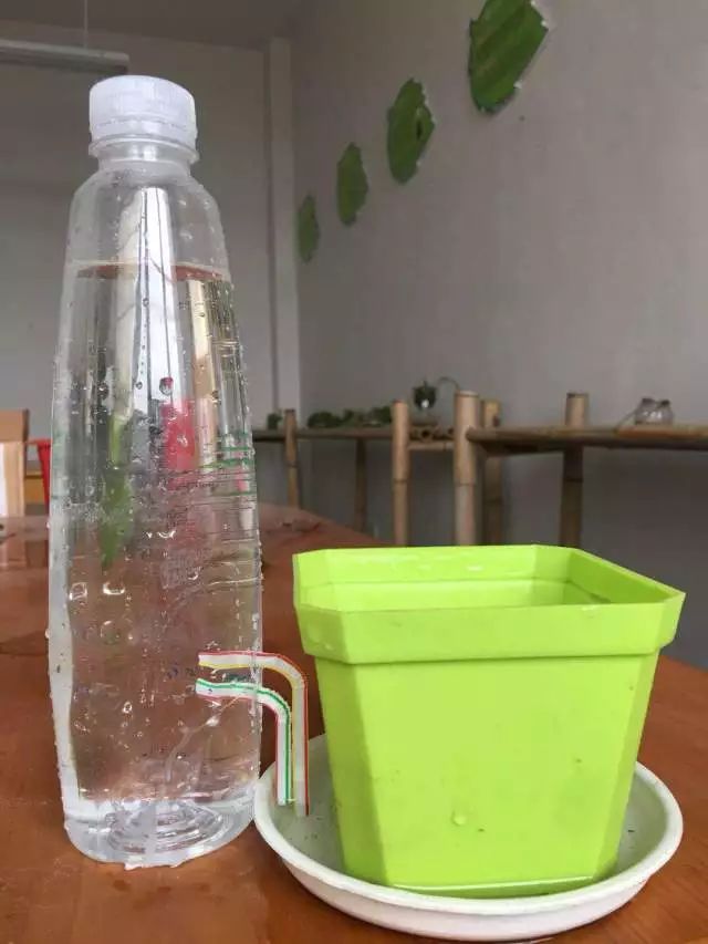 自制浇水器