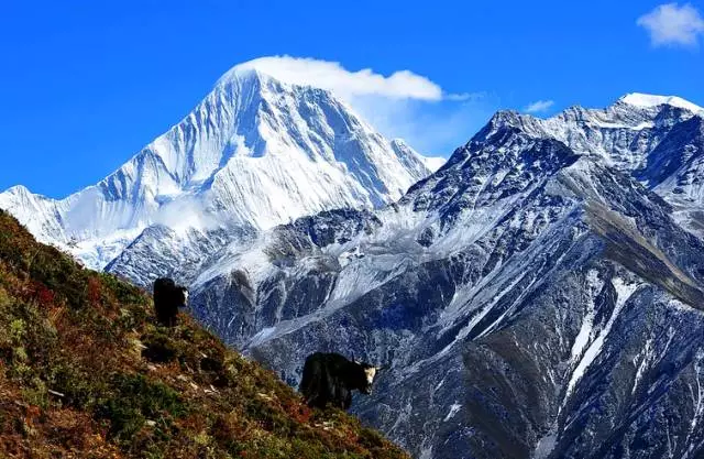 大雪山人口_想不想修真大雪山地图(2)