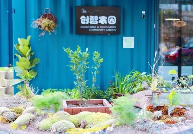 场地上海 五角场 大学路 创智农园(community garden,室内200平,室外