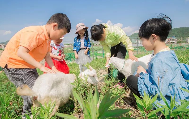 2018小镇农场招募啦|你的田园,你做主!