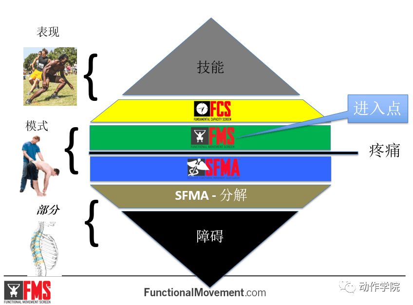 往疼痛评估方向发展则需选择sfma(如下图)