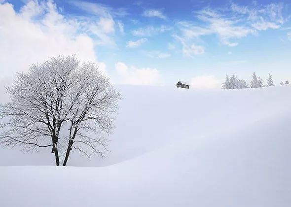 看了这组照片,您就了解平昌冬奥会全景了