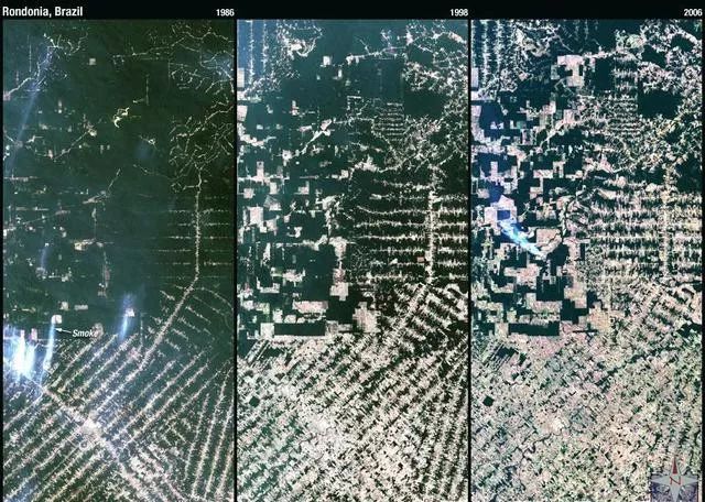 地球之肺正走向窒息:nasa卫星图显示巴西亚马逊雨林已千疮百孔