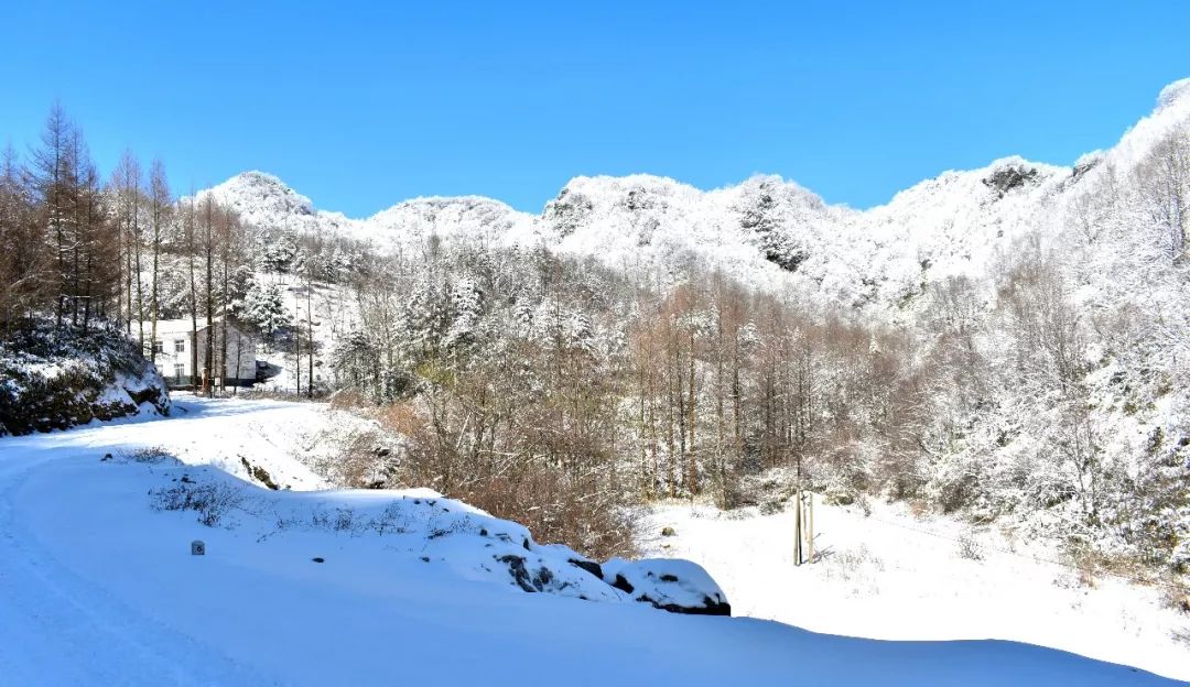 巴山"雪国"分外妖娆:再赏龙池雪景