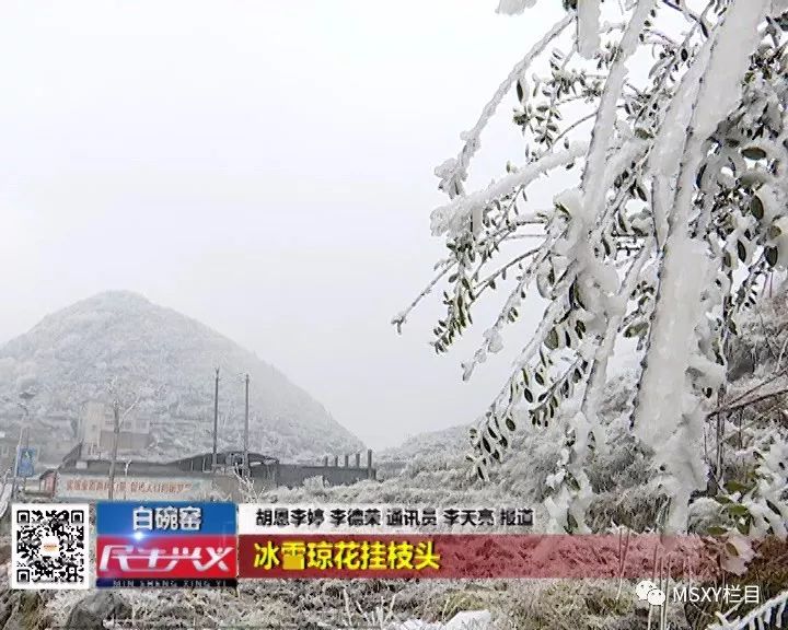 民生兴义 白碗窑:冰雪琼花挂枝头