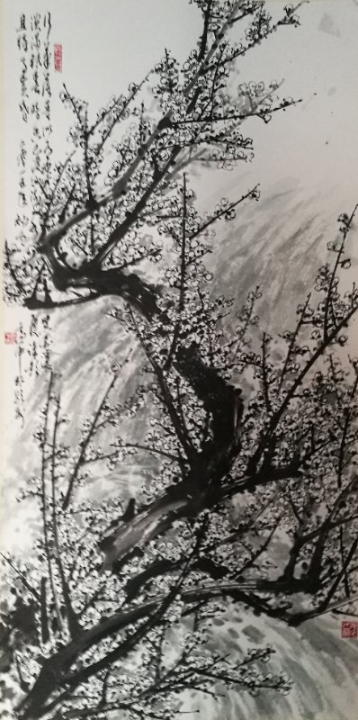 李适中国画梅花作品欣赏