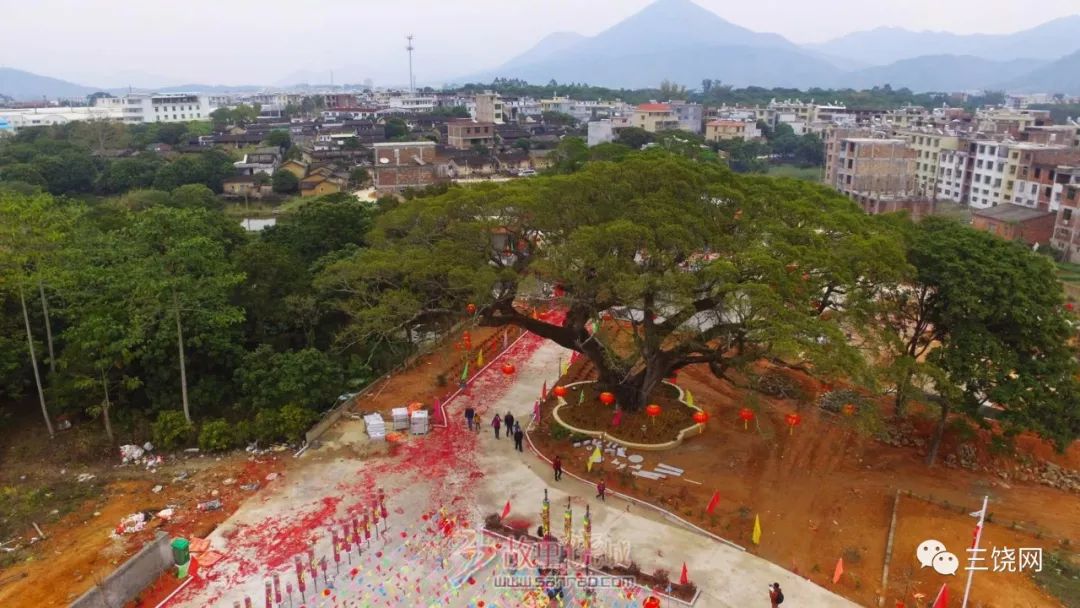 三饶镇南新祠堂村的佛祖将军进宫升座祠堂公园村民活动中心竣工举行