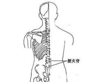 7成腰疼都是腰肌劳损,中医教你穴位按揉重返20岁|腰肌