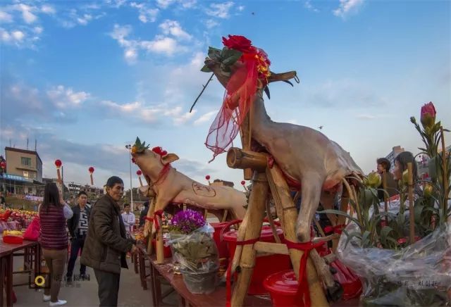 春节约拍 | 厦门后花园,赛大猪,拜天公大型民俗活动