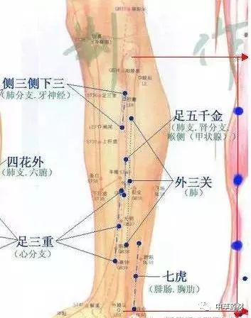 针灸:董氏针灸七十二绝(收藏篇)