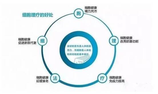 绿韵细胞理疗仪的原理是什么_幸福是什么图片