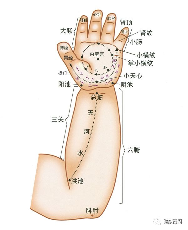 退烧——直推天河水2操作手法:用双手拇指或者单手食中二指指腹按揉