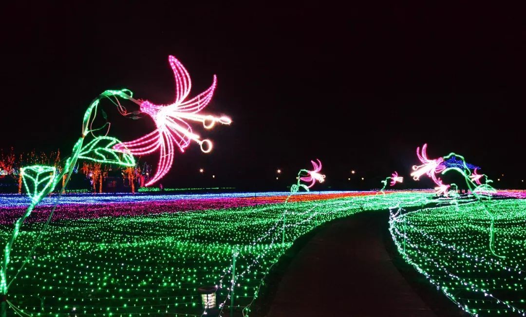 最美灯光节震撼登陆汶上!门票免费送!送!送!