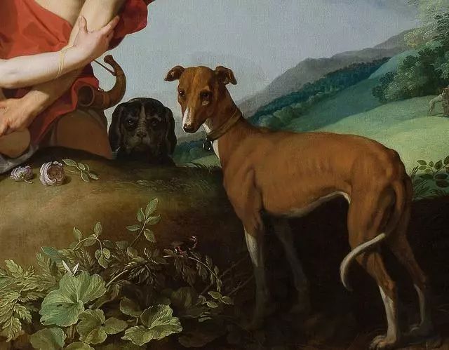 abraham bloemaert, venus and adonis (detail)下面这幅《阿多尼斯之