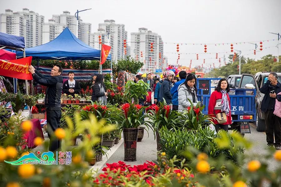 逛花街,好运来!2018年博罗花市这样逛才够热闹.