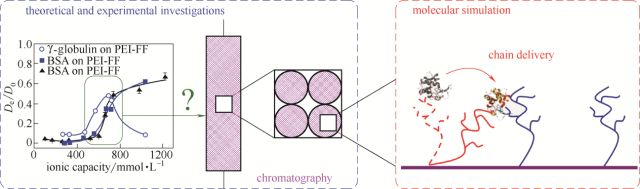 【95周年專刊】綜述：蛋白質色譜界面行為的分子模擬 科技 第6張