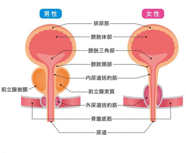 不要让我离开被窝,就算膀胱爆炸也不行!