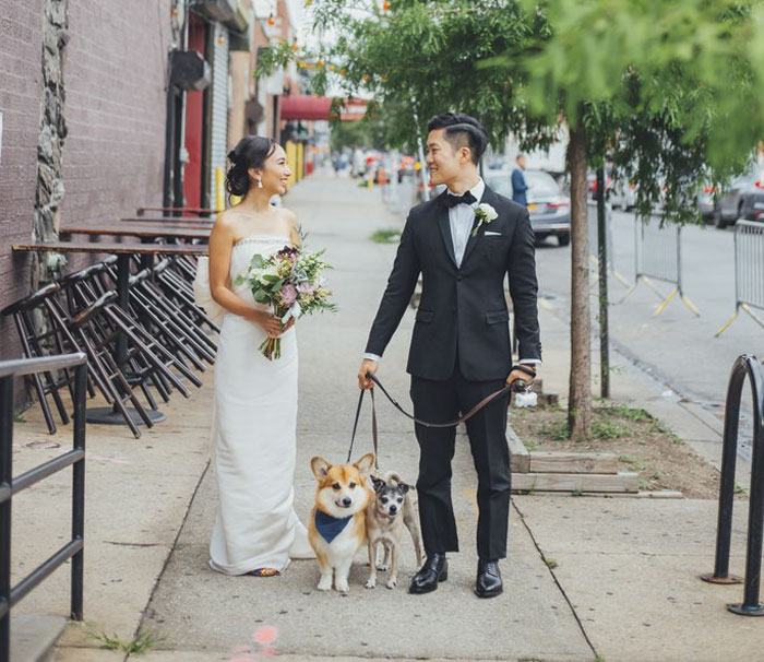 带狗狗拍婚纱照_带狗狗一起拍婚纱照