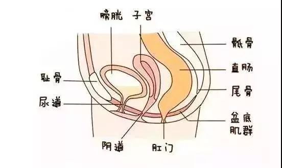 应保证每天喝6—8杯水,不要养成憋尿的坏习惯,每隔两三个小时小便一次