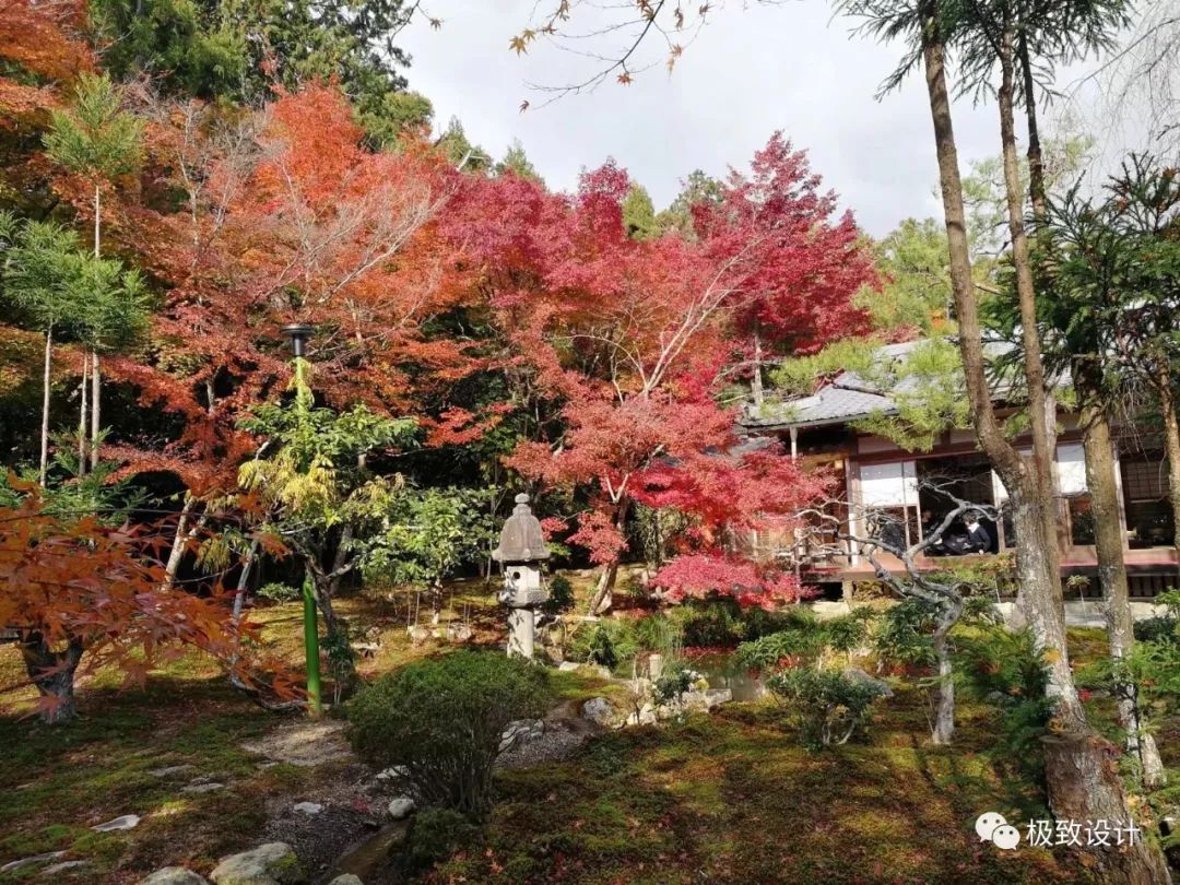 日本行 著名枯山水庭院龙安寺