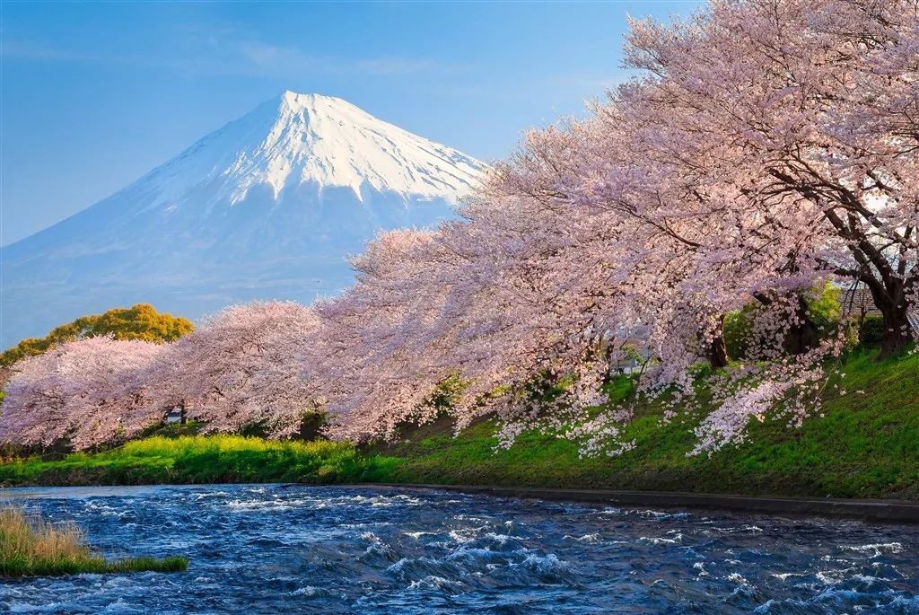 由于火山口的喷发,富士山在山麓处形成了无数山洞,有的山洞至今仍有