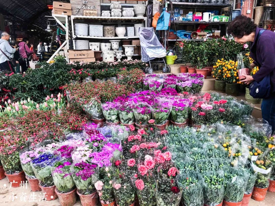 岭南花卉市场是广州乃至全国规模最大,功能最全的花卉批发综合市场