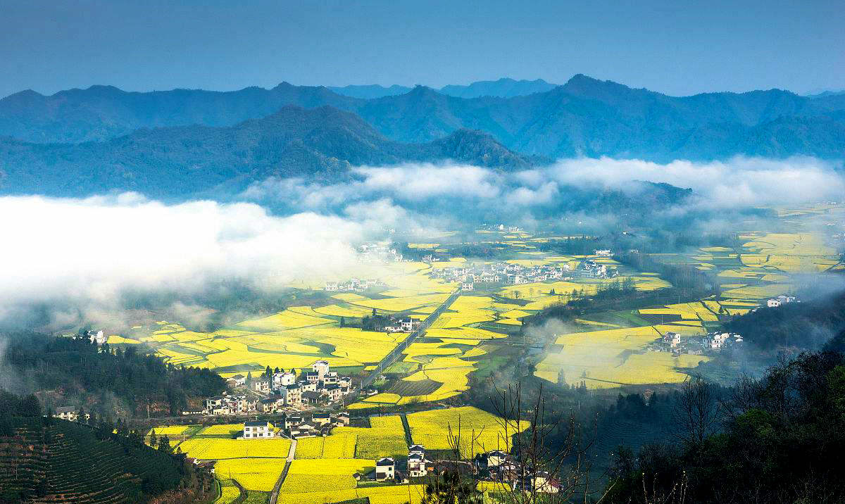 江西婺源油菜花,黄山,宏村,新安江画廊,千岛湖摄影采风之旅(确认成团)