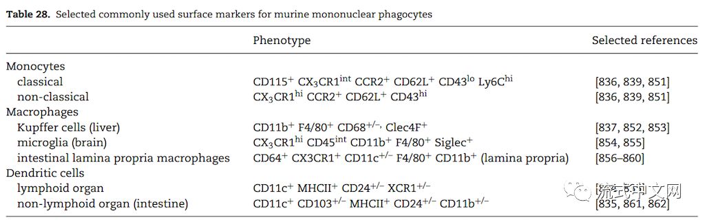 小鼠单核细胞的分析,以cd115高表达为单核标记