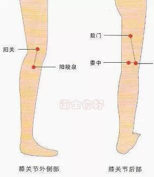 9,殷门穴