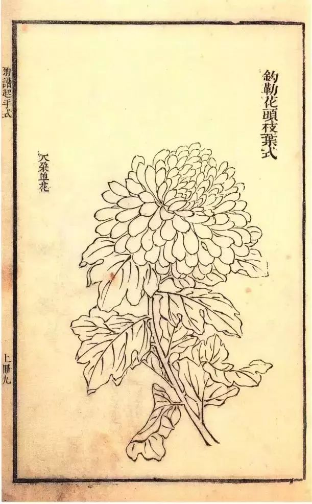 芥子园原版菊谱