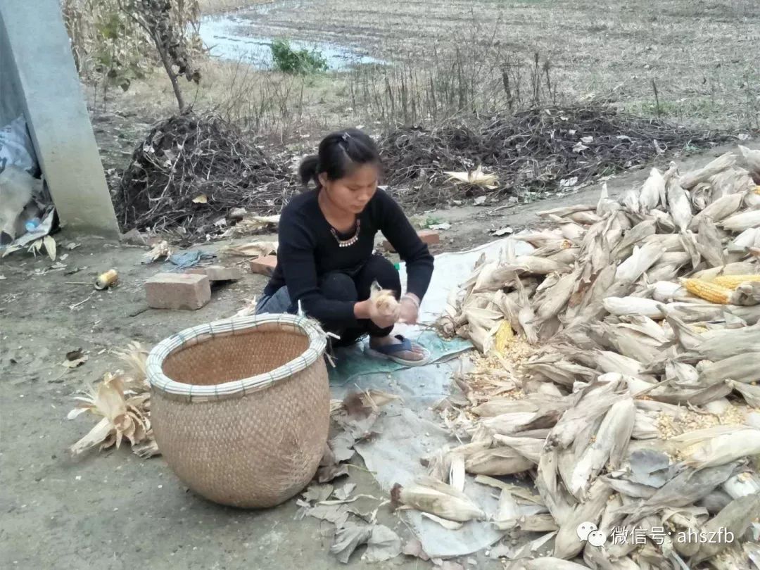 安徽灵璧娄庄镇有多少人口_安徽灵璧奇石