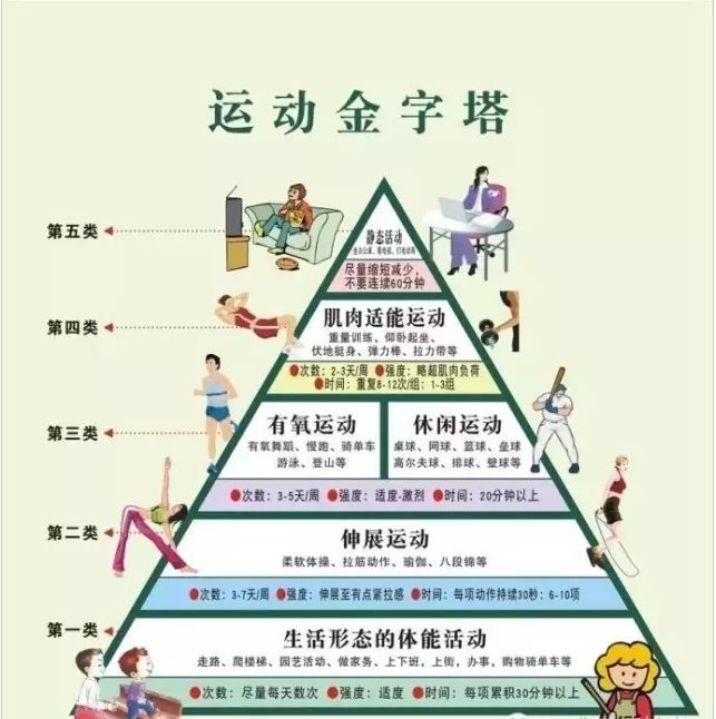 运动金字塔,看看你在第几层?