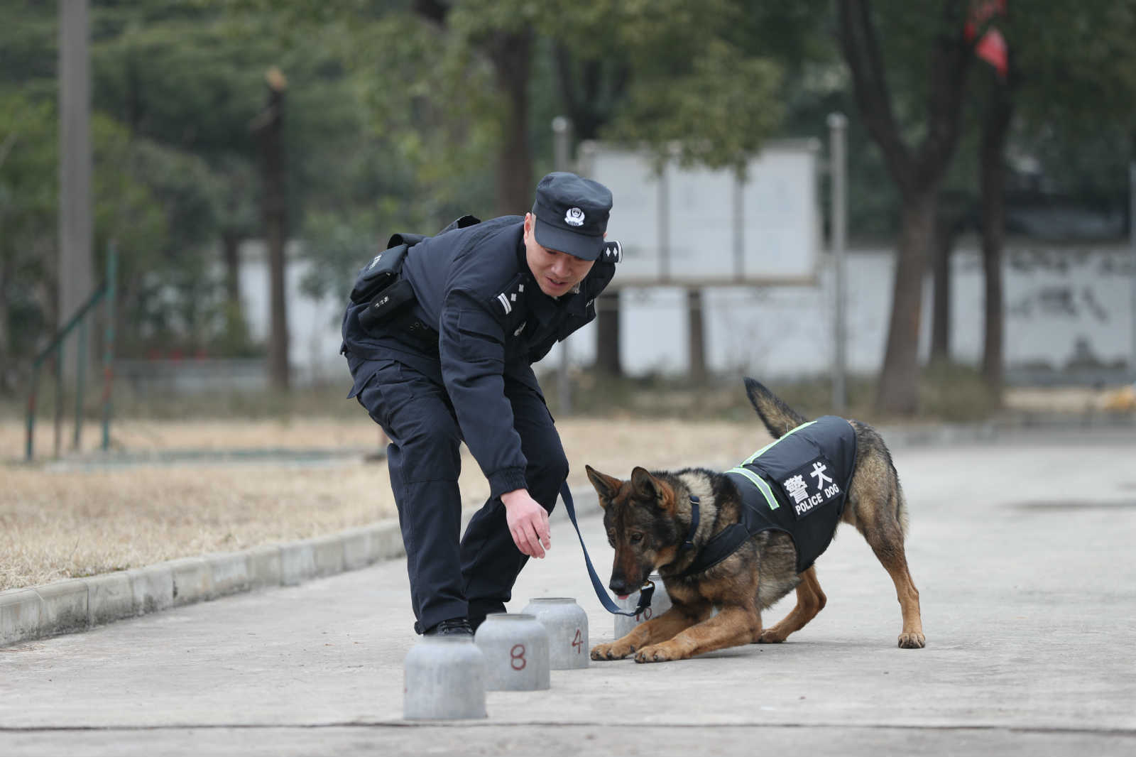 2月9日上午,武汉铁路公安处警犬工作队训导员正在做搜爆训练,胡金力摄