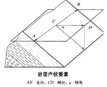 (3)岩层的倾角,是岩层层面与水平面所夹的锐角,表示岩层在空间倾斜