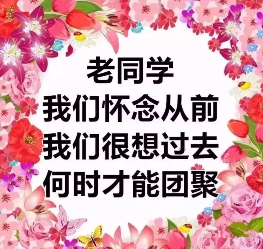 祝所有老同学幸福