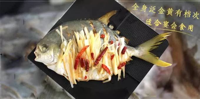 海鲜篇┃年夜饭餐桌首选金鲳鱼